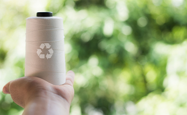 Drumul verde al firelor ecologice